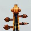 Violin #97 Head F