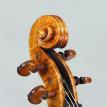 Violin #97 Head FL