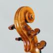 Violin #97 Head BL