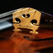 Violin #97 Bridge